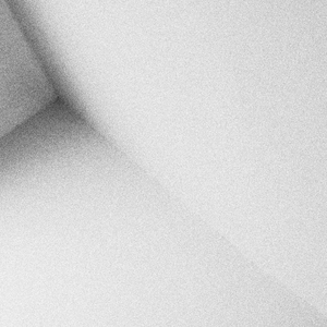 女人添荫蒂视频观看
