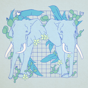 女人添荫蒂视频观看
