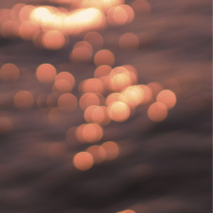 女人添荫蒂视频观看
