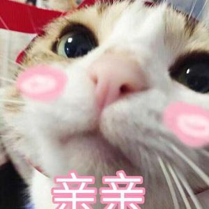 女人添荫蒂视频观看
